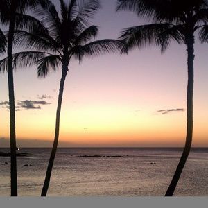 Meet your Posher, Bobbie